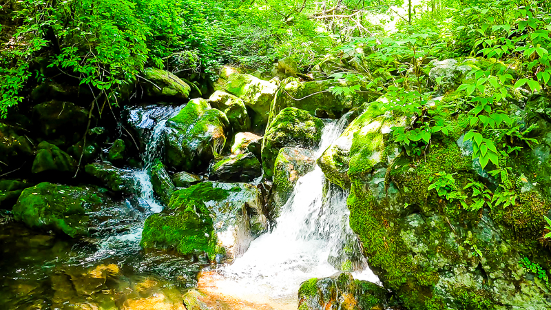 가리왕산 이끼폭포