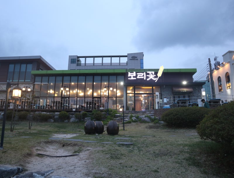 울산 보리밥 맛집, 보리꽃