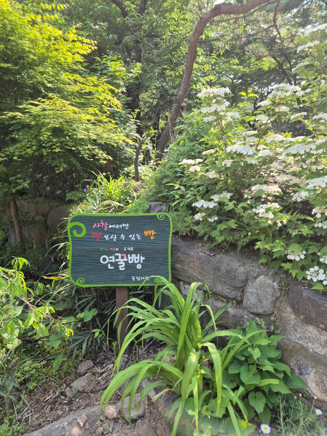죽림다원