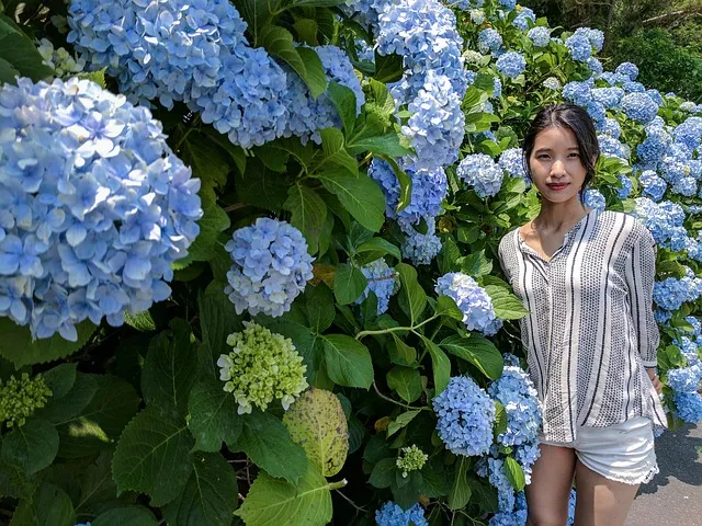 제주 용눈이오름 오르기 좋은 시간과 주차 팁 안내_8