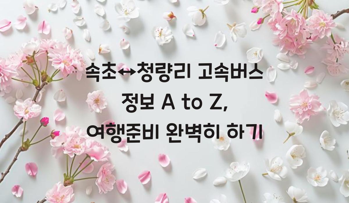 속초↔청량리 고속버스 정보