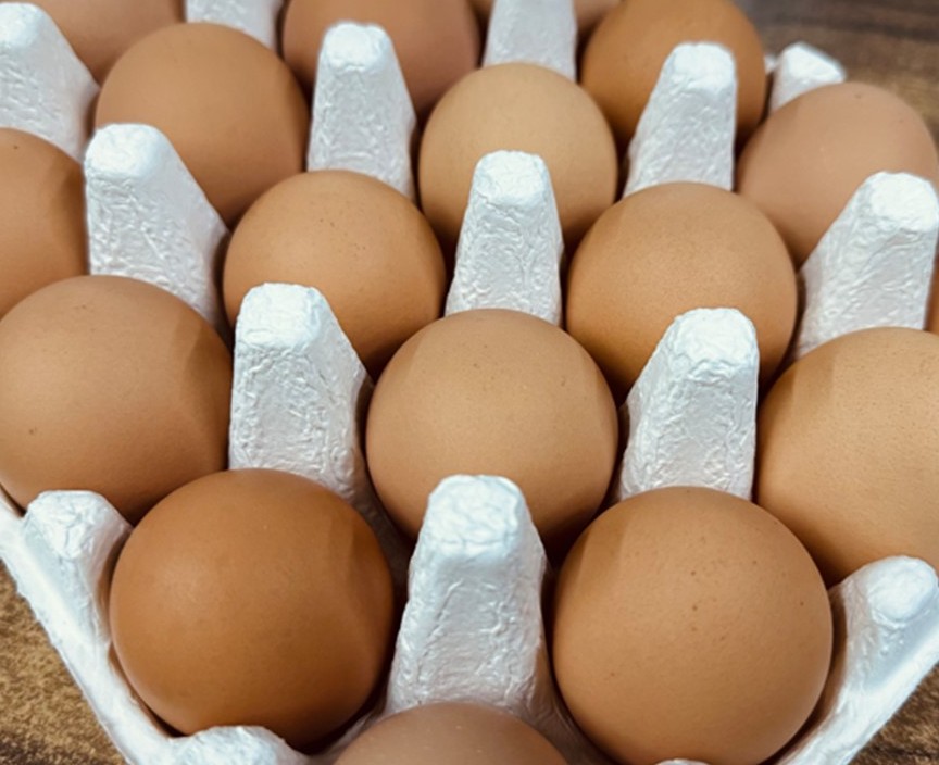 6시내고향 연천 산골부자 유정란 달걀 청산에 살리라 달걀을 판에 넣은 모습