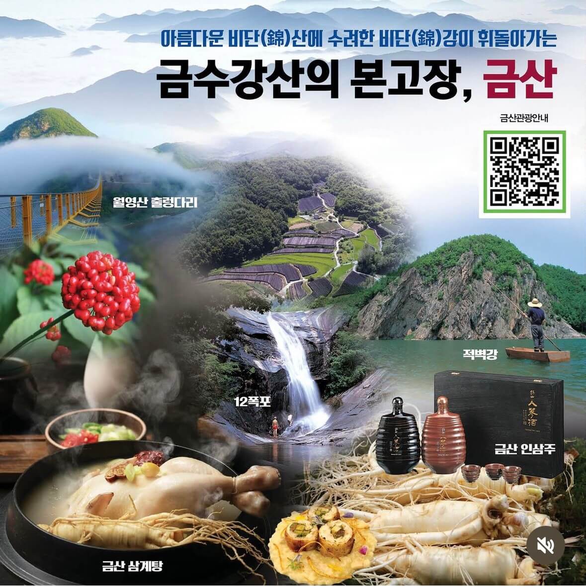 금산 삼계탕 축제