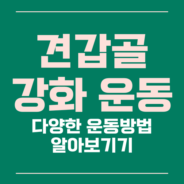 견갑골강화운동