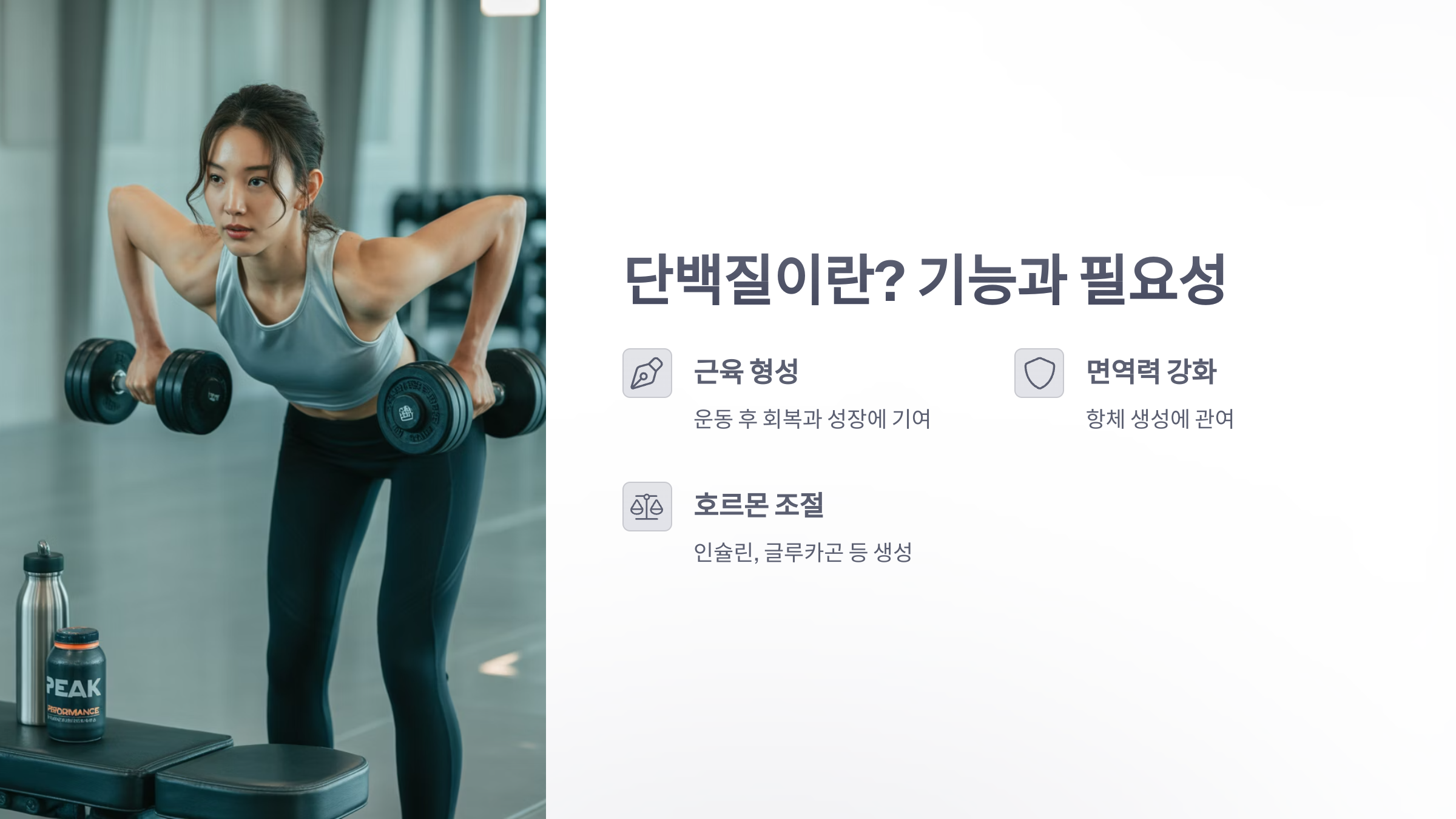 참조-단백질-섭취-올바른-방법-2