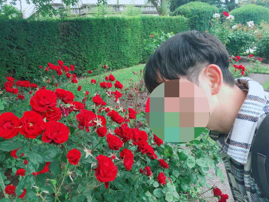 크라이스트처치 보타닉가든 장미