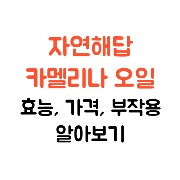 자연해답 카멜리나 오일 효능 가격 부작용