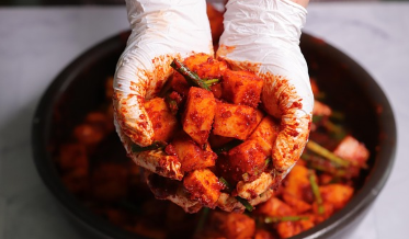 김장배추 파종 시기 알아보기 1