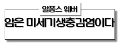 관련 유튜브영상