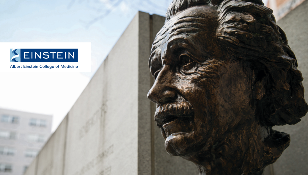 Albert Einstein College of Medicine