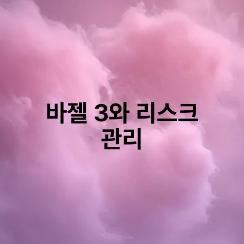 바젤 3와 리스크 관리