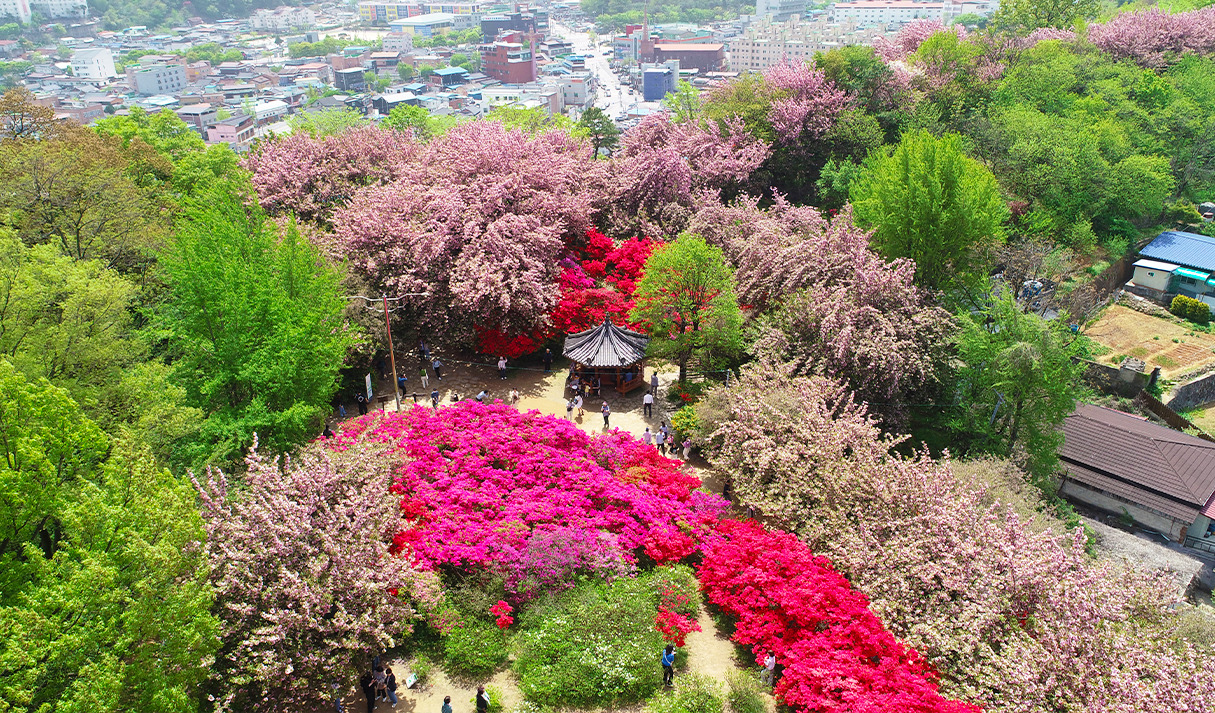 전주 완산칠봉 꽃동산 / 사진출처=전주시