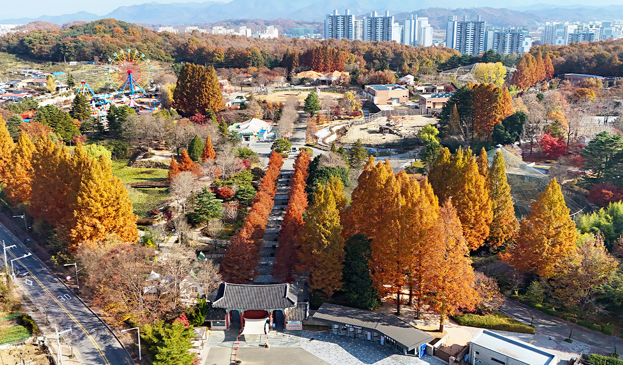 전주여행 가볼만한 곳 베스트10_ 08. 전주 동물원 &amp; 수목원 (벚꽃&amp;#44; 단풍&amp;#44; 입장료&amp;#44; 주차&amp;#44; 놀이동산)