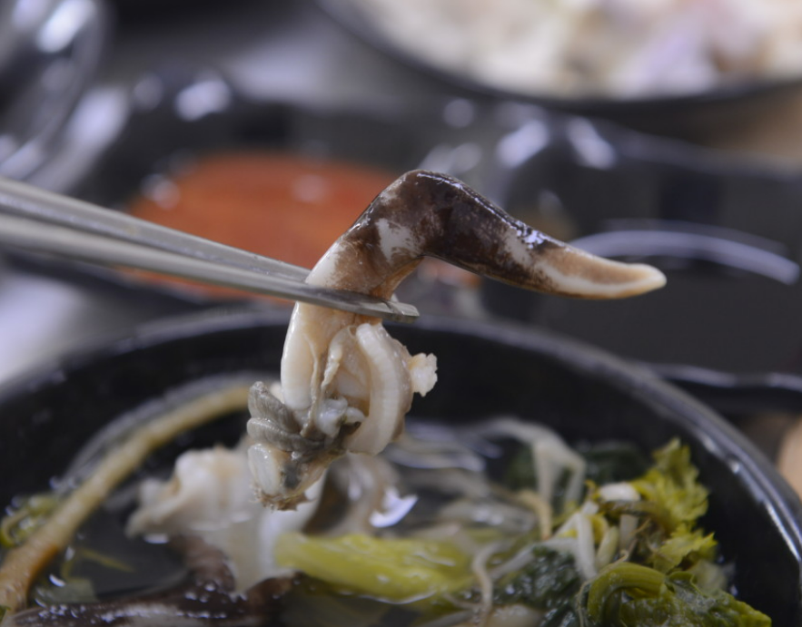 오늘엔 2월 19일 남당항 새조개 맛집 동백회수산 