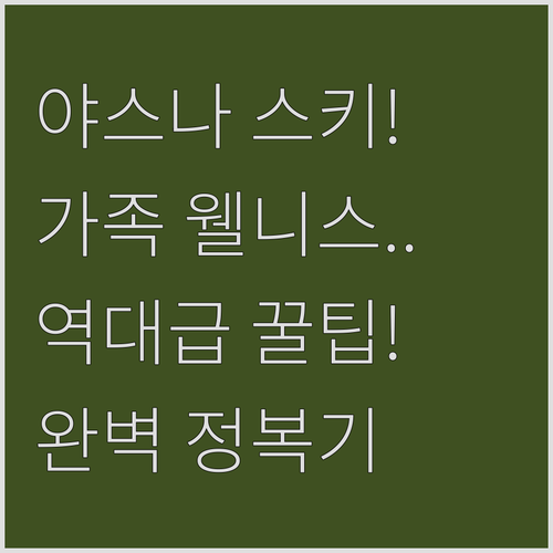 로우 타트라 야스나 스키장 이용 방법..