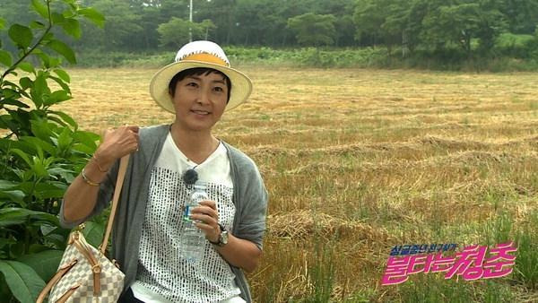 정수라 노래모음 환희 어느날 문득