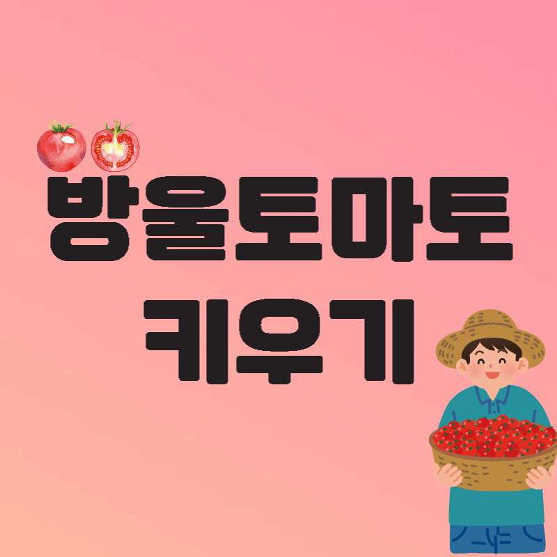 방울토마토키우기섬네일