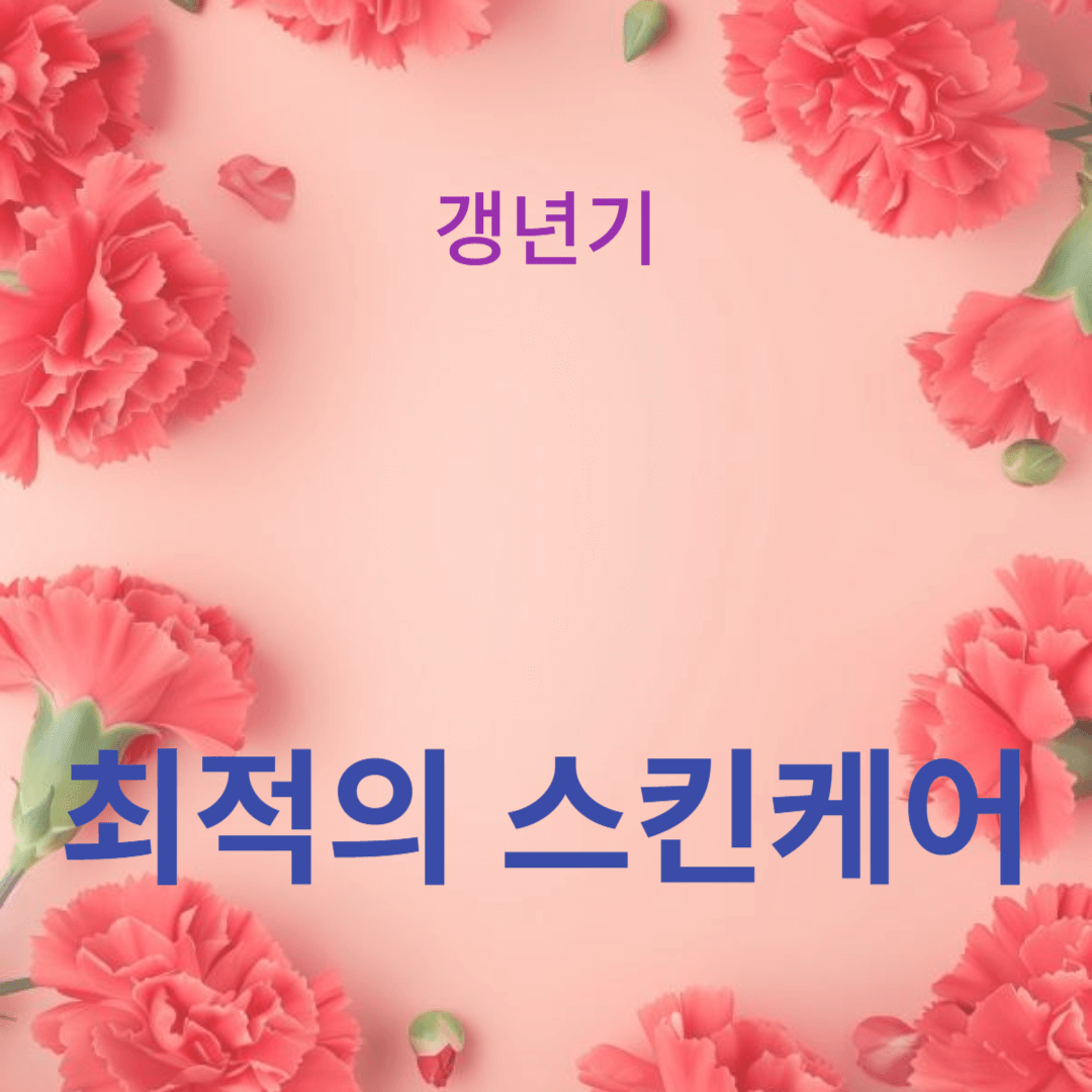 갱년기 피부를 위한 최적의 스킨케어: 탄력과 수분 공급 개선법