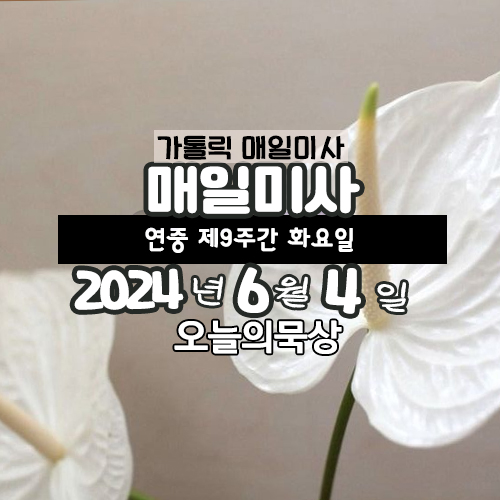 6월 4일 매일미사