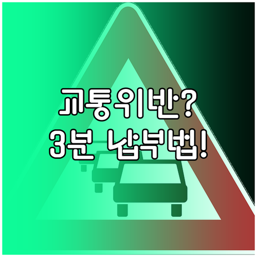 경찰청 이파인(e-fine) 교통 위..