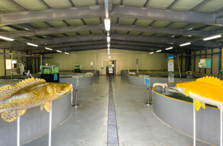 충북 아쿠아리움