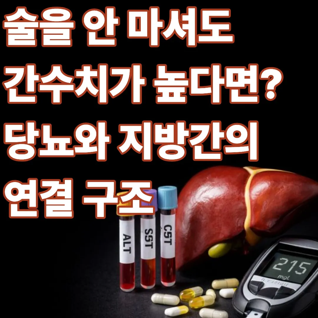 술을 안 마셔도 간수치가 높다면? 당뇨와 지방간의 연결 구조