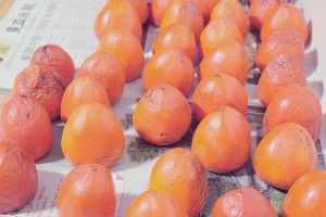 단감 보관법 신선한 유지 꿀팁