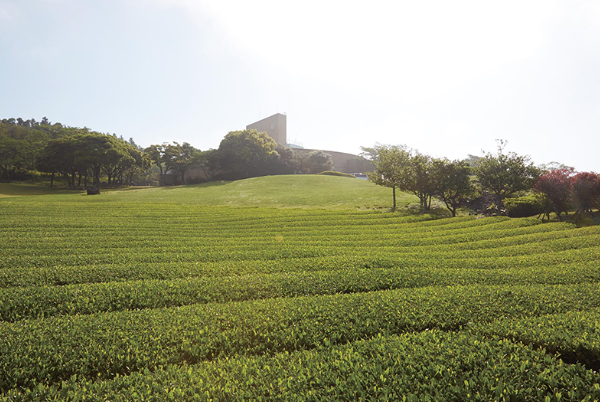 5월제주도 가볼만한곳