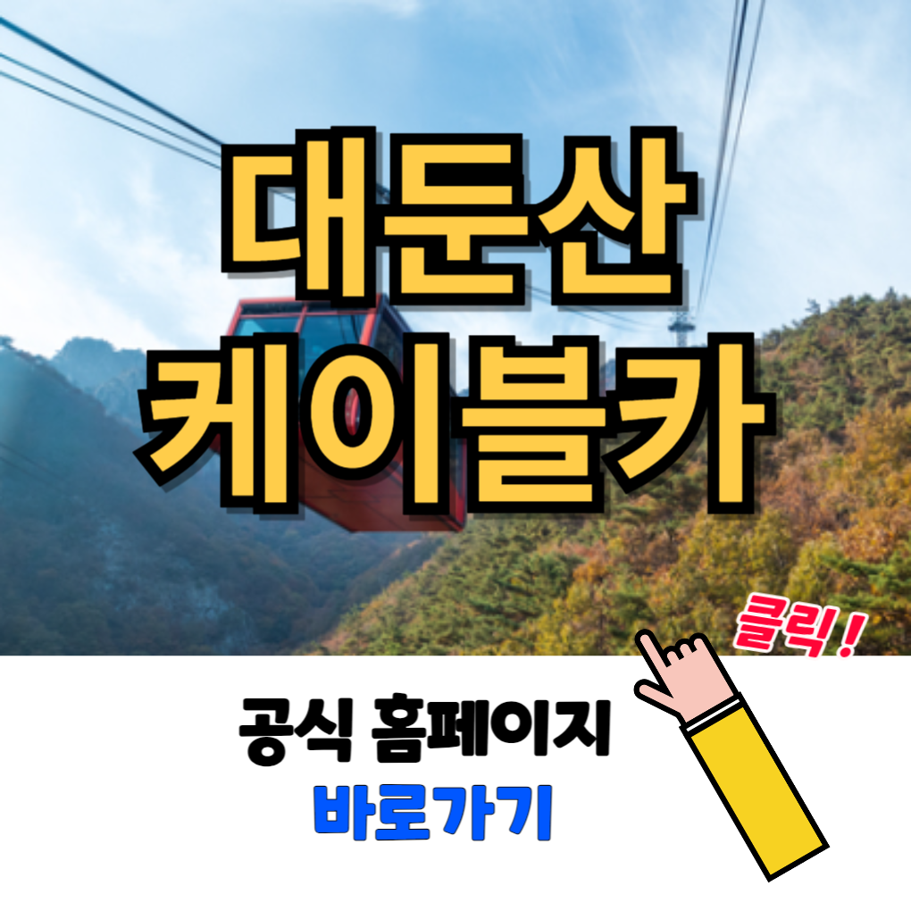 대둔산 케이블카 요금