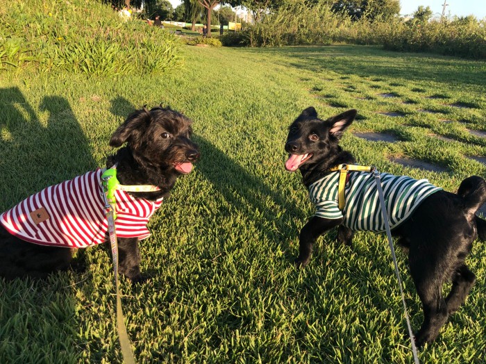 300일 (2018.9.22)_91