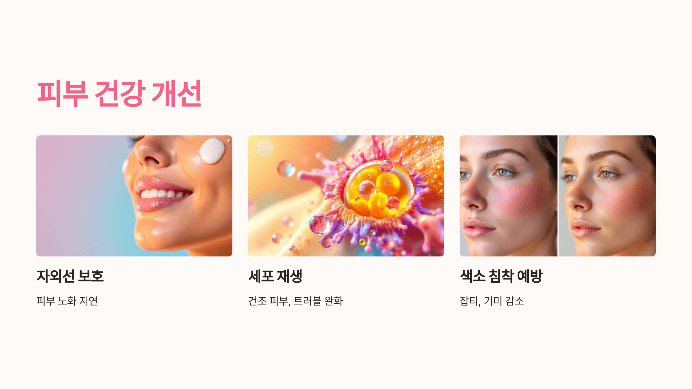 베타카로틴과 관련된 사진입니다.