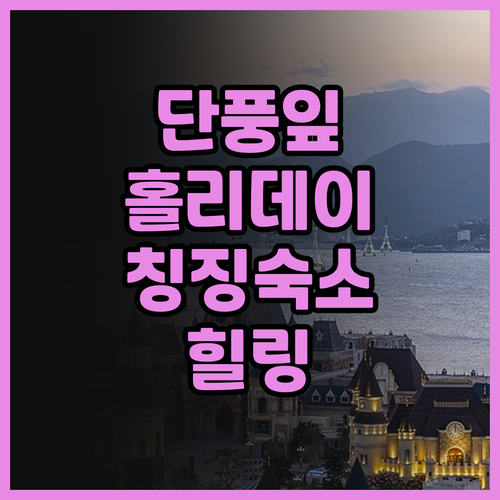단풍나무 잎사귀 홀리데이 빌라 숙박