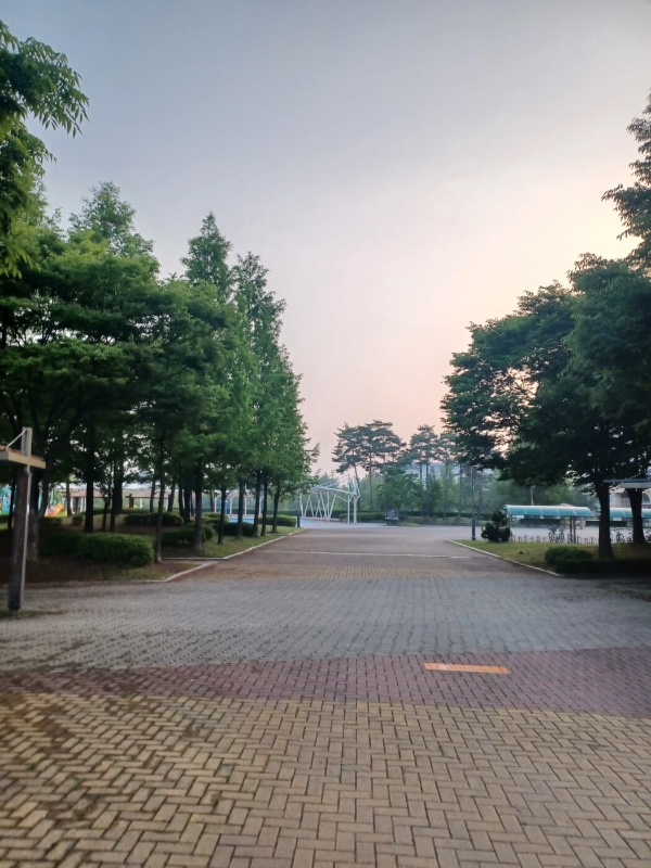 하차