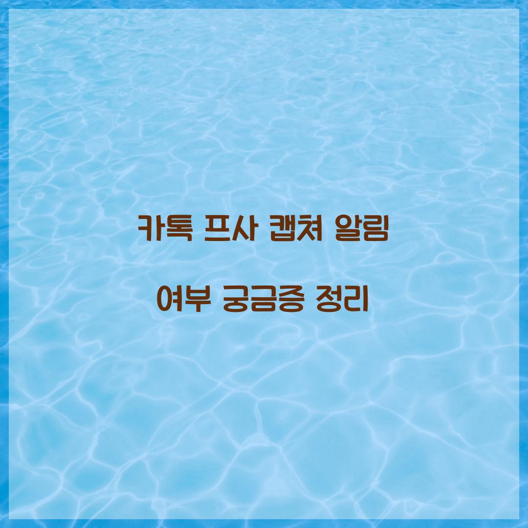 카톡 프사 캡쳐 알림