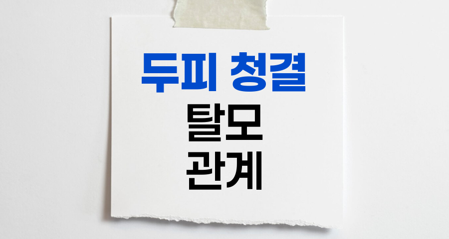두피 청결과 탈모, 진실과 오해