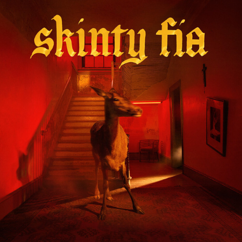 Fontaines D.C._Skinty Fia