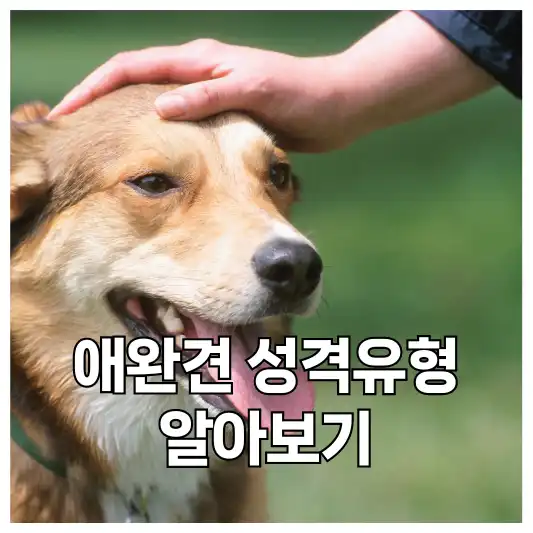 강아지들의 성격 유형 알아보기