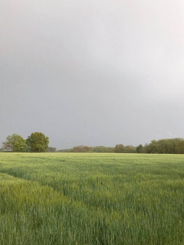 청년농업인 지원 2