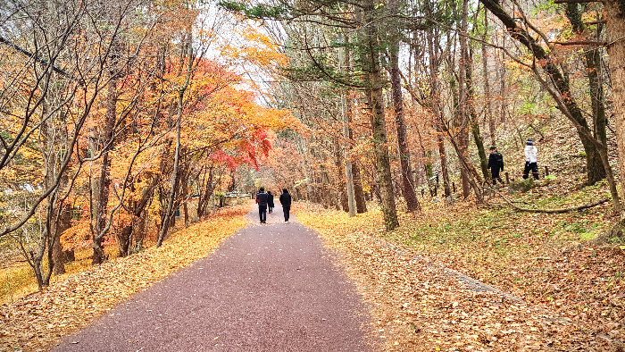 속리산 세조길 단풍