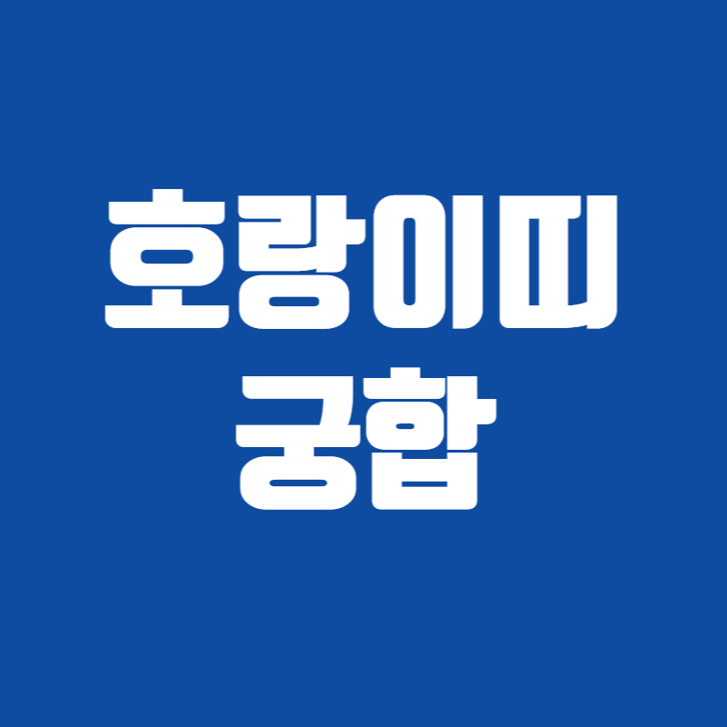 호랑이띠 궁합