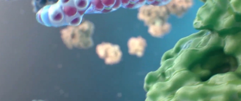 아시클로버 연고 효능