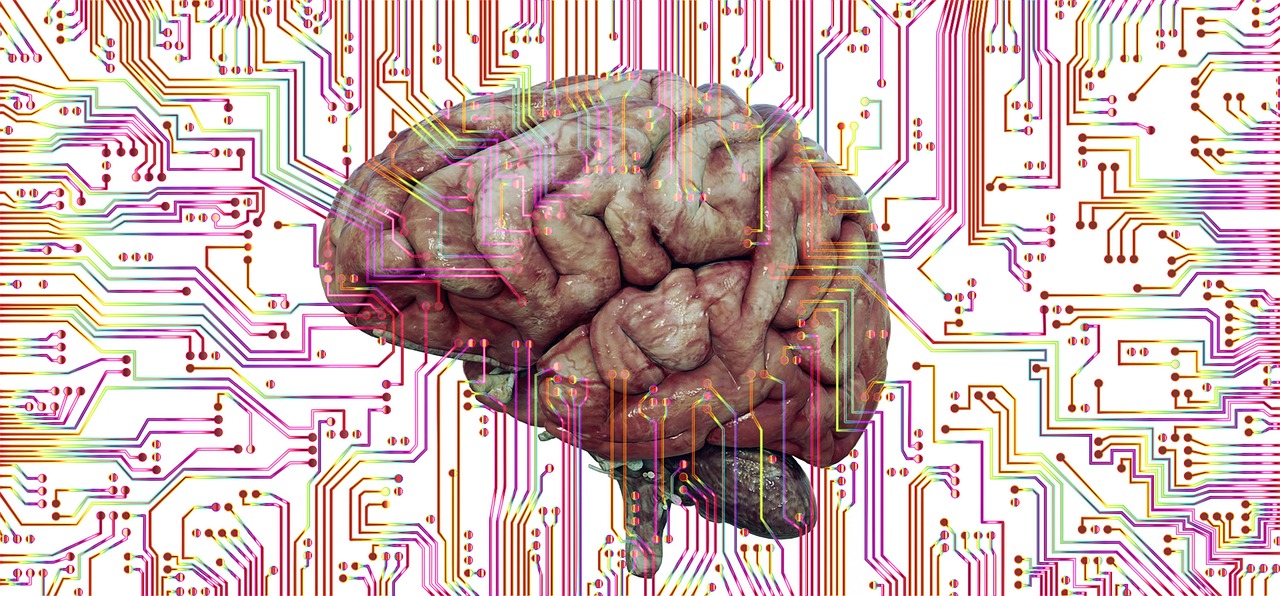 생명 신호(Biosignature) vs 기술 신호(Technosignature): 차이와 한계에 대한 비교 분석