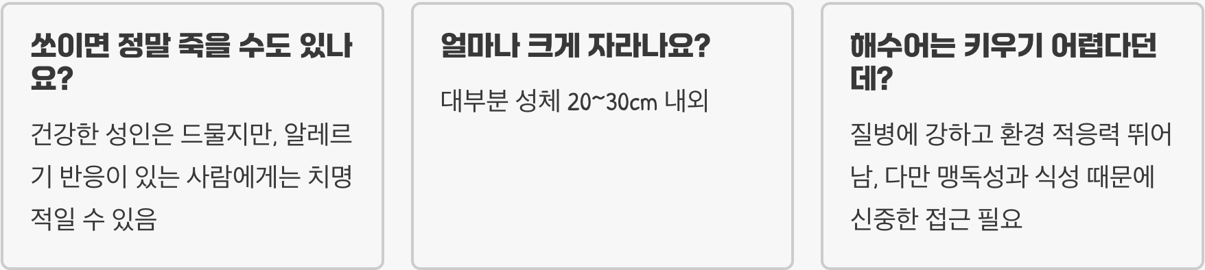 라이언피쉬 키우기 A to Z (어항, 먹이, 수질 관리)