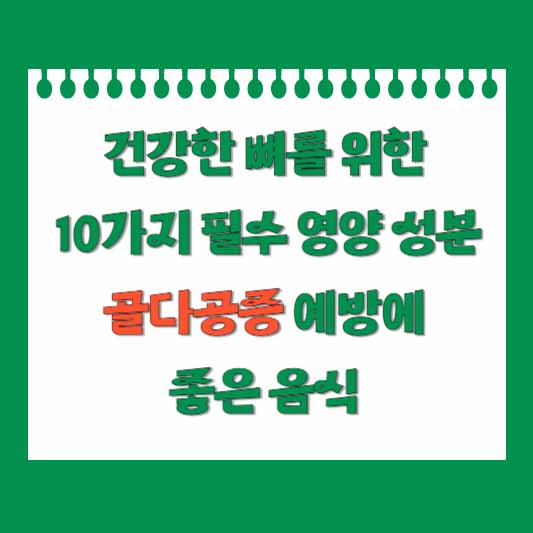 골다공증 필수 영양 성분과 좋은 음식