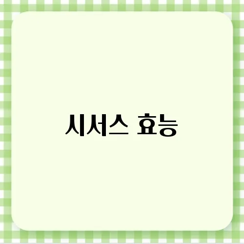 시서스 효능