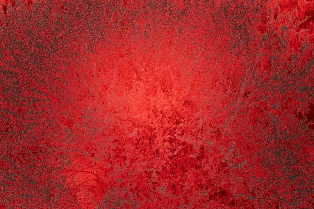 Blood