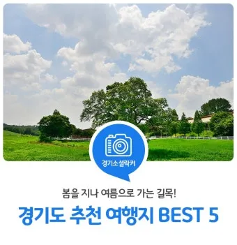 경기도 봄 여행지 추천 10곳 완벽 코스 가이드북_10