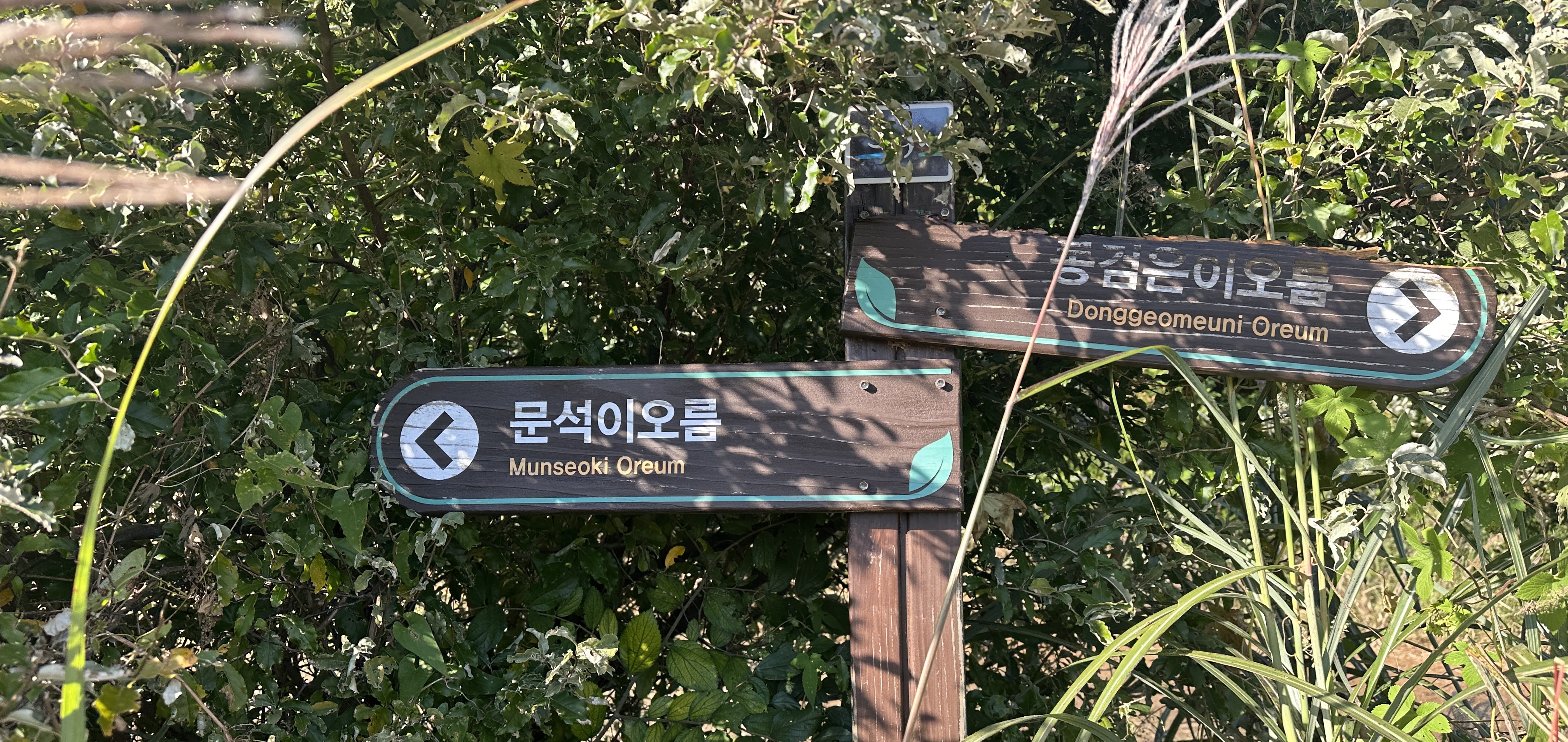 문석이오름과 동검은이오름 갈림길