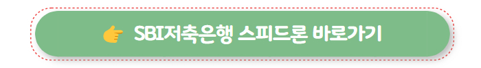기대출 과다자 추가대출 SBI저축은행 스피드론