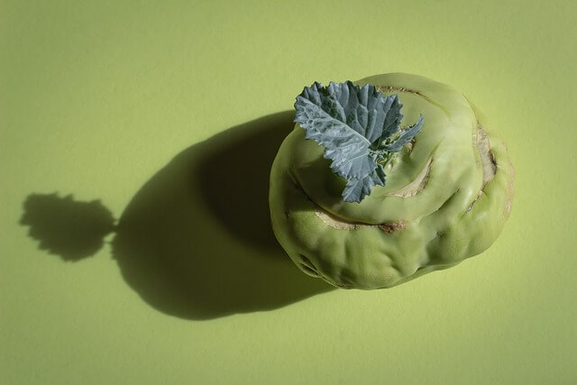 콜라비 보관법과 상태확인